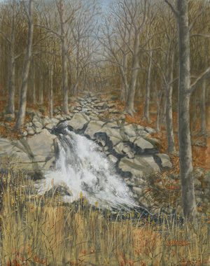 "Stony Brook Park Fall"