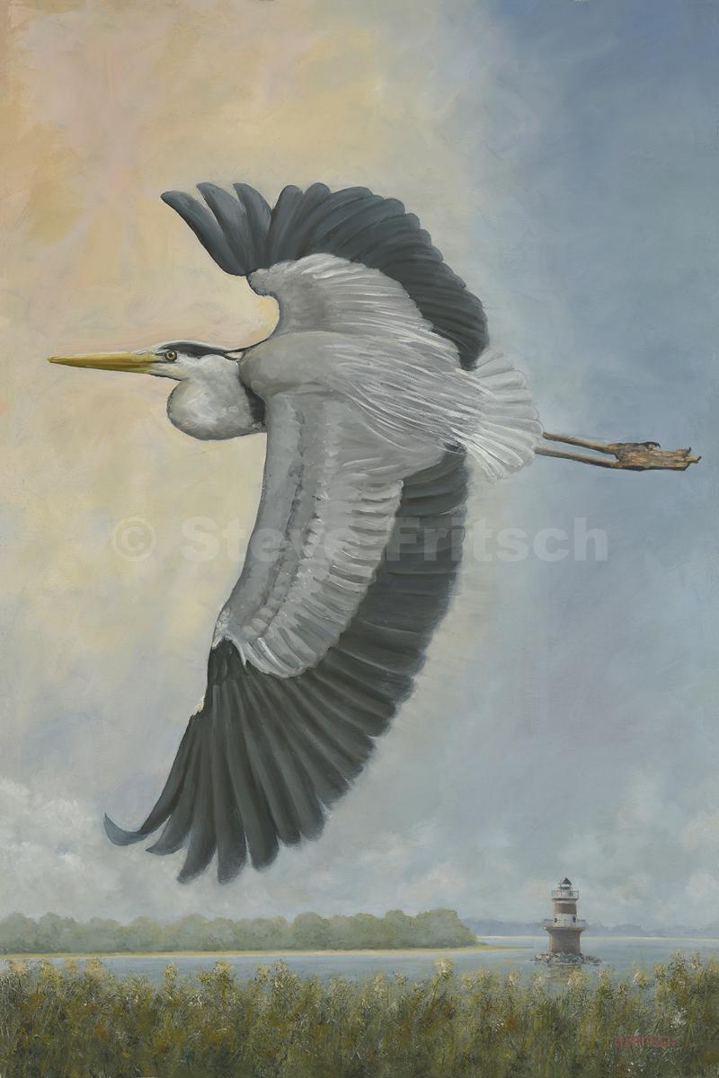 "Heron By Pecks Ledge"