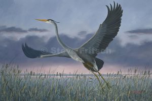 "Heron Sunrise"