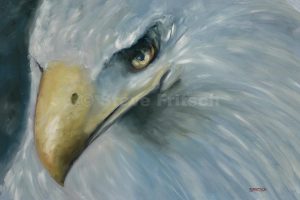 "Eagle Eye"