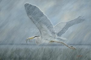 "Heron In Rain"