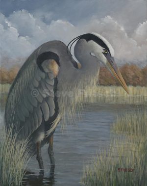 "Standing Heron"