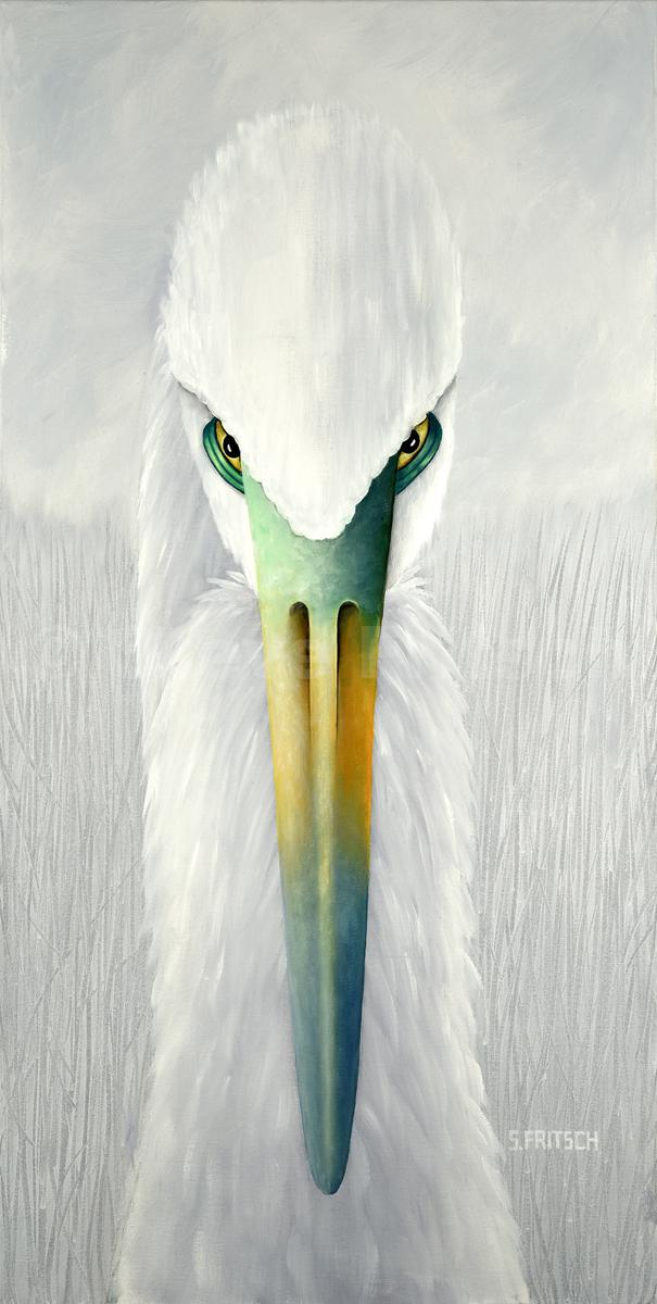 "The Stare"