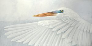 "Egret Flapping"