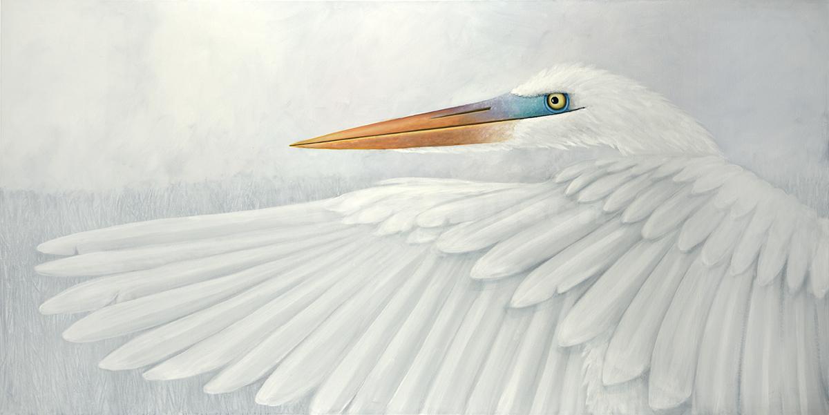 "Egret Flapping"