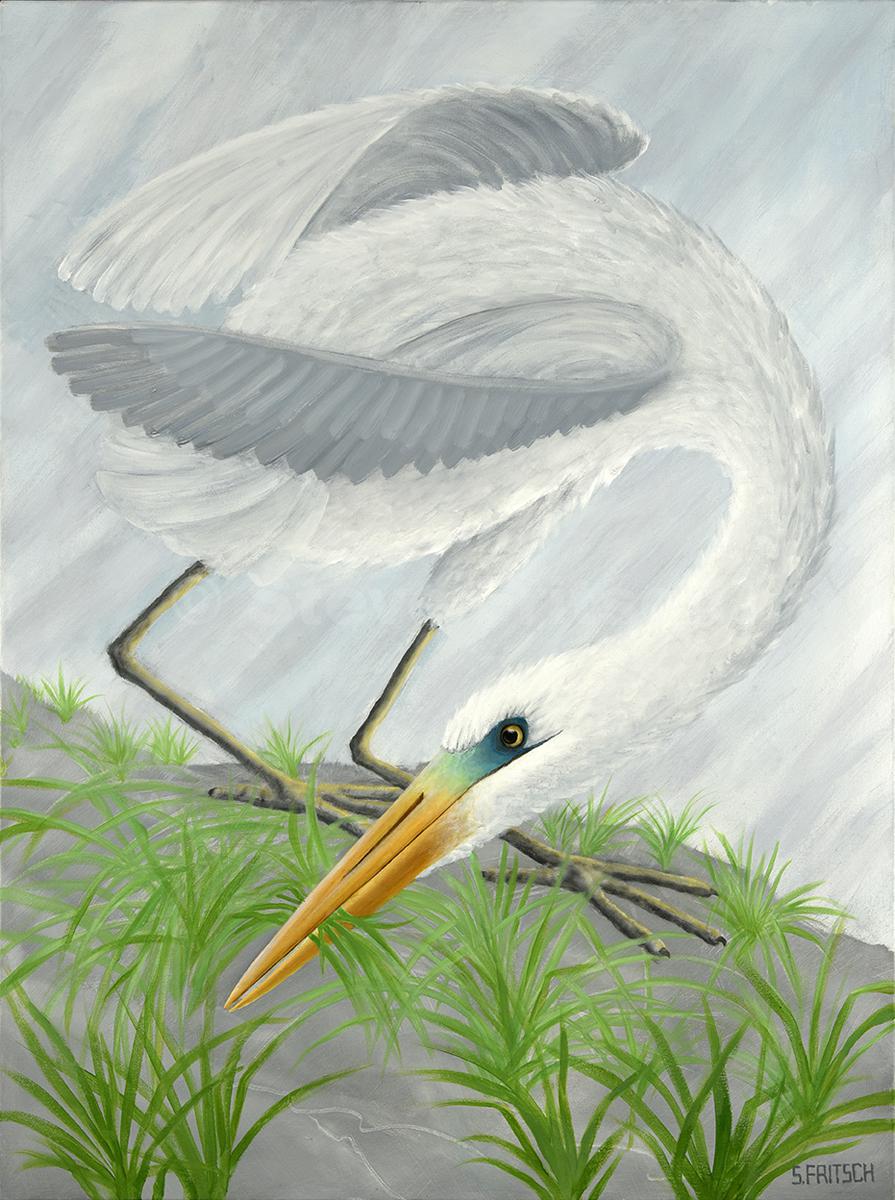 "Egret Foraging"