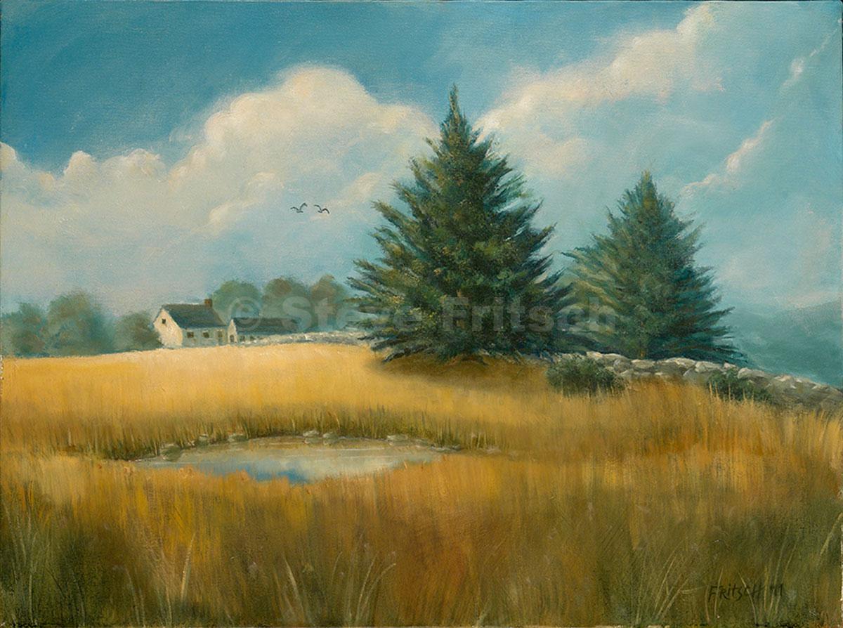 "House On A Hill"