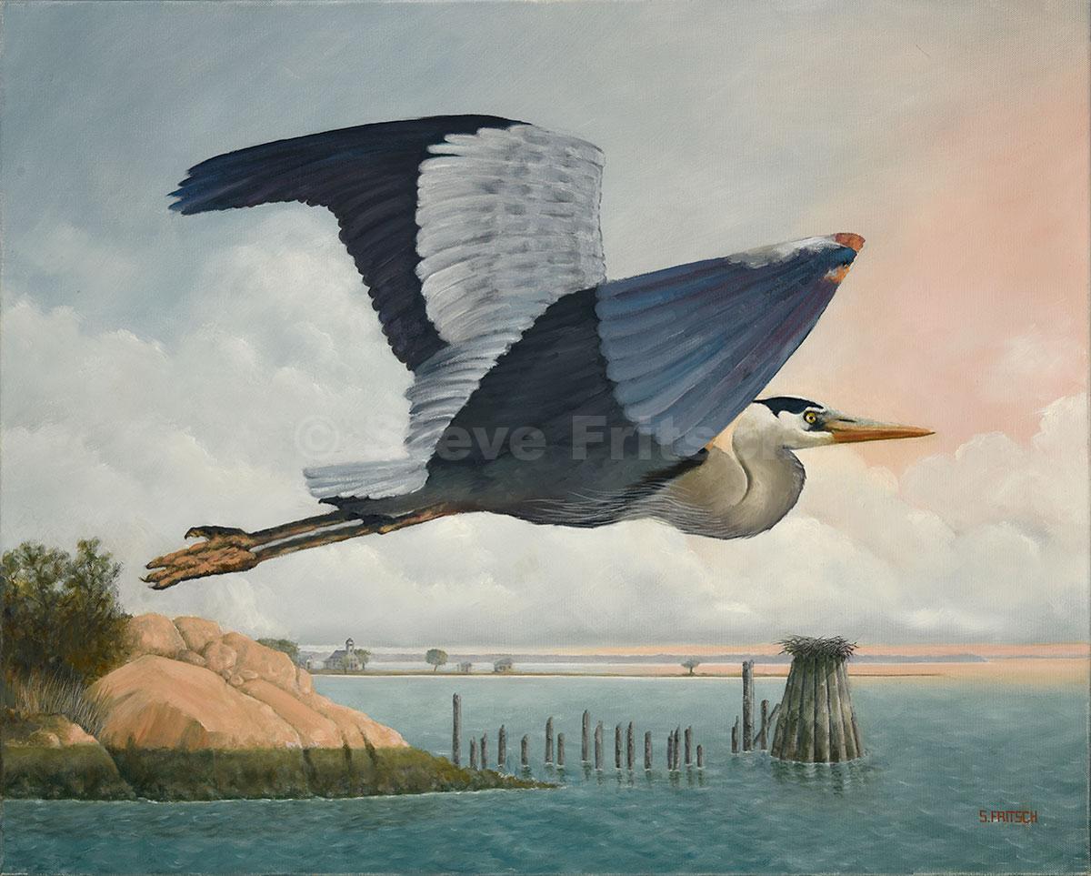 "Heron Over Roton Point"